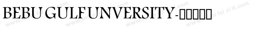BEBU GULF UNVERSITY字体转换